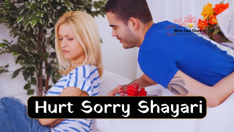 New Hurt Sorry Shayari