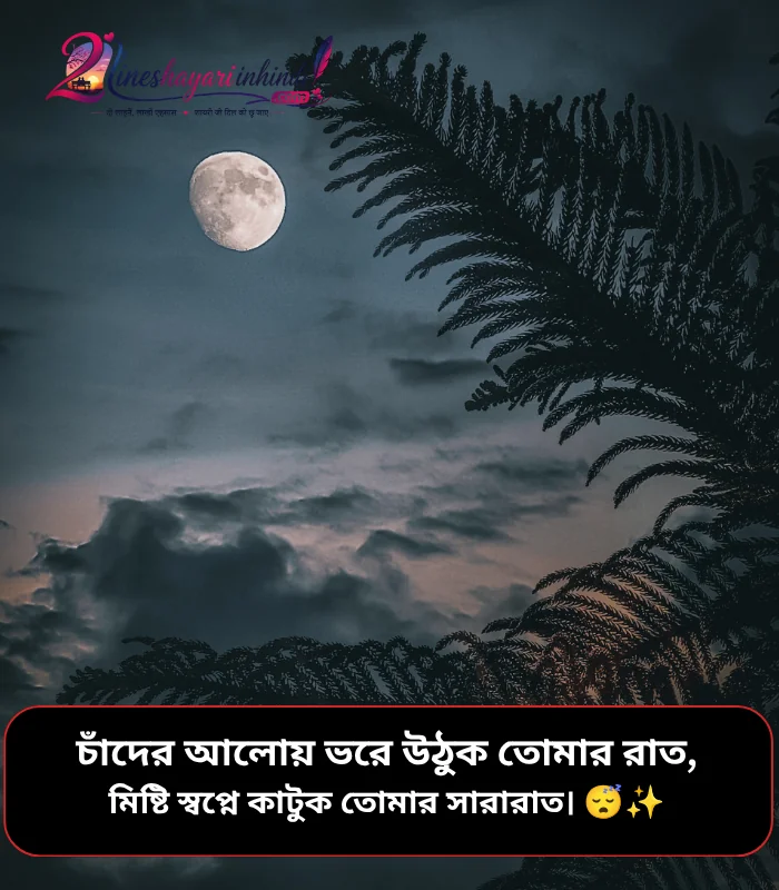 Good Night Shayari Bangla